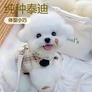 ���N�㙉̩��Ȯ��Ȯ���w�����豭ȮС�����pȮ��ͥ��HȮ��������