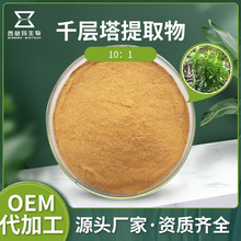 千层塔提取物 石杉碱甲 水溶性粉末原料  西格玛工厂现货批发供应