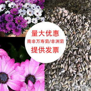 ͥԺ���Ծ��^�f�۾� ��ܽ�ػ��N�� �����Ϸ��f�۾ջ��ܷN�����l