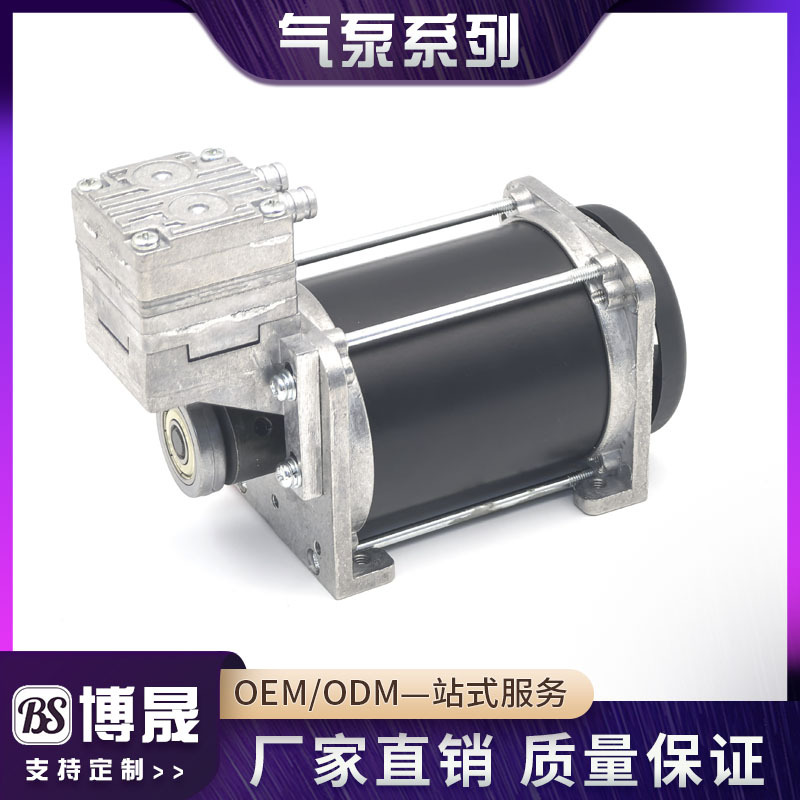 现货批发 通用真空配件12V正负压活塞气泵丰胸养生美容仪器隔膜泵