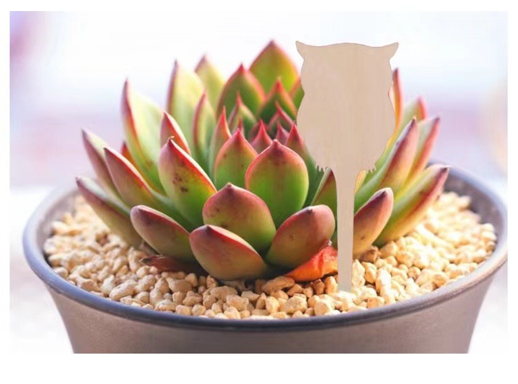 3adb1507f2131f994f806cf8cc32b3