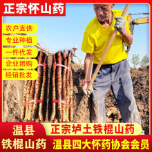 ؿhFɽșrډɽș5bϽخall