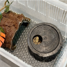 ������ܶ�Ѩ�،m��������ϐ�ӌ�����֩�����x�쾰����䶴