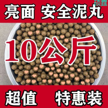 ���ش������菗��������ӏ����װ�ɫ��ȫ������