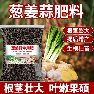Special Fertilizer for Onions, Ginger and Garlic, Vegetable Fertilizer, Thick Leaves, Organic Fertilizer, Enlarged Fruit Particles, Slow-Release Fertilizer, Disease Resistance and Xm