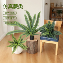 ����ާGֲ��˹ާ�Ҿӿ͏d�b����ԔzӰ���߲廨�[����ֲ���쾰