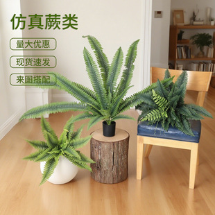 ����ާGֲ��˹ާ�Ҿӿ͏d�b����ԔzӰ���߲廨�[����ֲ���쾰