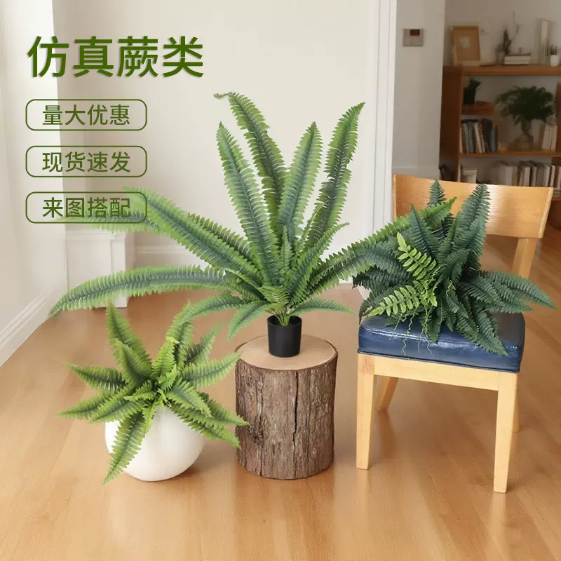 仿真蕨类绿植波斯蕨家居客厅装饰盆栽摄影道具插花摆件假植物造景