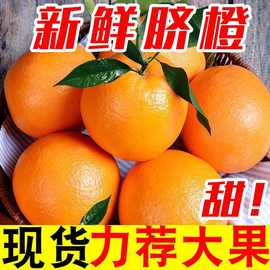 橙子新鲜脐橙现摘现发新鲜应季水果批发甜薄皮非赣南冰糖果冻橙