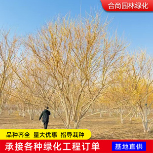 �����S�𻱘����֦����ͥԺ�@���ͺ��G���L����䅲�����S�𻱘�