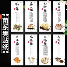 ����N���˺������z�N������¶��ľ��¹�׹��������u����LH