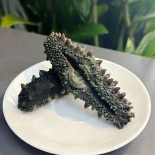 ���l���������}��ɺ����}�n������������}���B�|�̅����B����