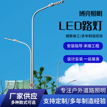 厂家批发LED市电路灯 8米10米户外市政道路照明工程亮化路灯杆