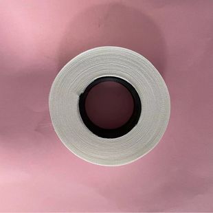 0.1*25 Polyester Glass with Tax Included High Voltage Motor Coil Insulation PET Belt