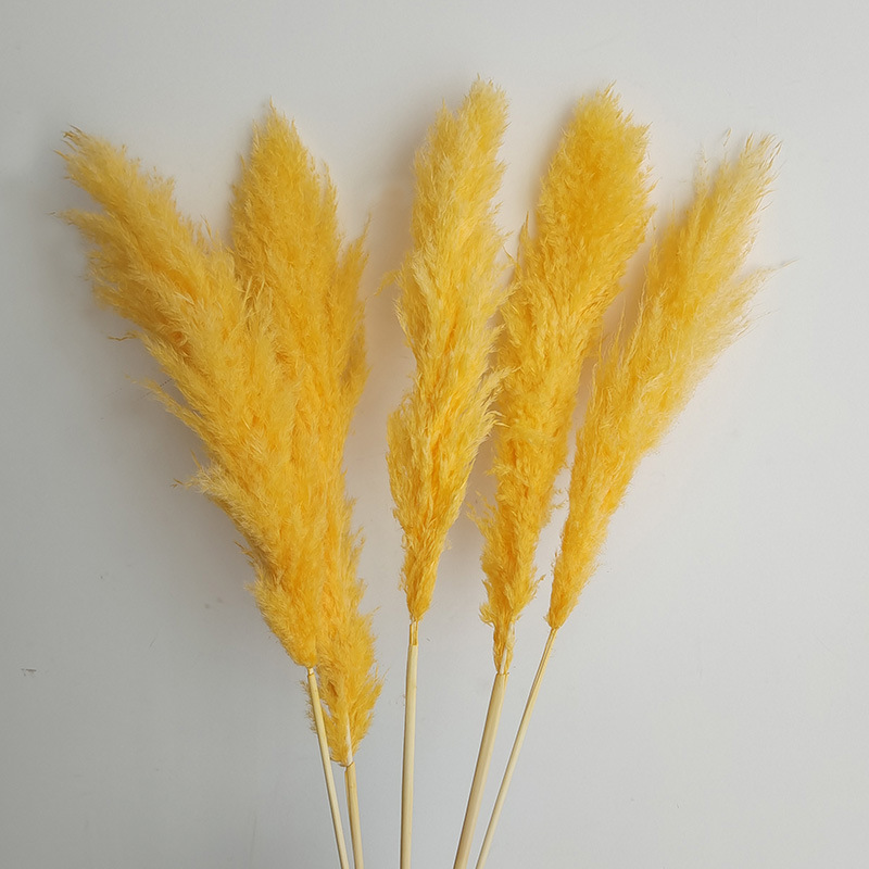 (7)5 꽃 스파이크 70-80cm 전체 길이 약 140cm