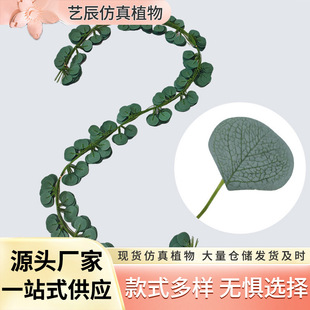 ��72�~�����ȼ����ٗl�ړ��p�@�G�~�ٗl�Ҿ��b�ɫ�ȼ����ٗl