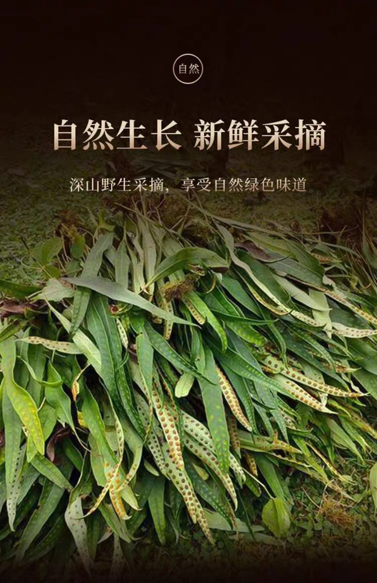 Hua Shi Cao Fossil Grass Dried Herb 500g Bag Traditional Chinese Herbal Tea Wild Harvested Changbai Mountain specifications