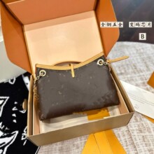 CarryA�ִ�������ĸ������Ҹ�°�HOBO�����13014