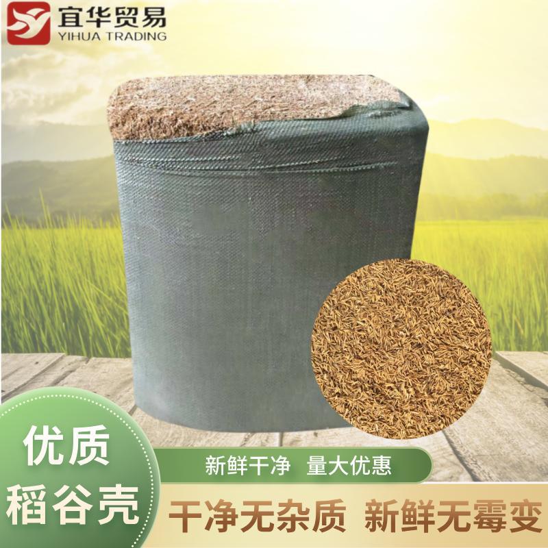 谷壳 新鲜稻谷壳  谷壳加工 南宁谷壳