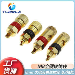 ���~M8�Ӿ���8mm���늺��C��׃��������100A200A������㽶����