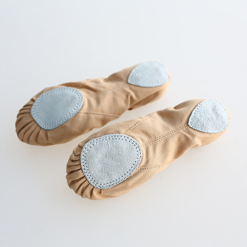 Lace-free dance shoes for women, soft-soled art test practice ballet shoes, adult cat claw shoes, ballet body yoga dance shoes
