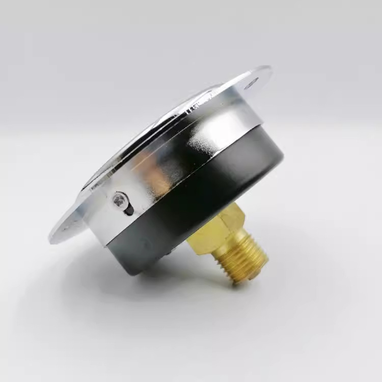 Wholesale instrument axial diaphragm pressure gauge Y60 micro pressure gauge back-connected flange full range can be done