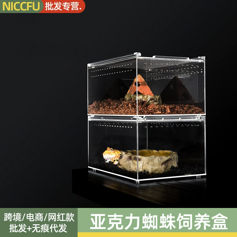 NC Акриловая коробка для кормления Коробка для пауков Рептилия Восхождение Домашнее животное Рогатая лягушка Ящерица Паук Скорпион Прозрачный Единорог Коробка для домашних животных