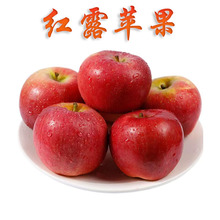 雲南昭通紅露蘋果新鮮應季水果丑蘋果非紅富士蘋果批發一件代發