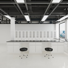 沃林沃实验边台化学功能柱工作台实验室实验室桌子工作全钢实验台