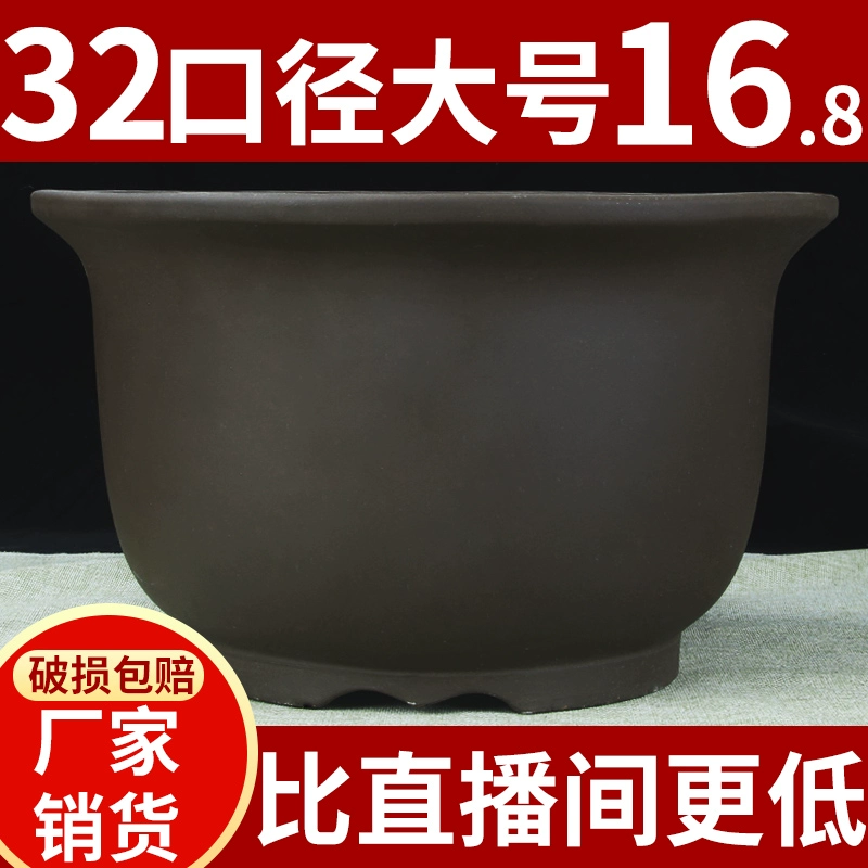 Исинг специальный большой диаметр фиолетовый песчаный цветочный горшок