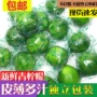 海南新鲜水果青柠檬