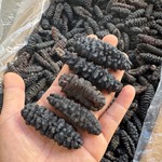 爱鱿鱿海味批发龙纹海参 大量批发淡干螺纹海参干货500克黑刺参