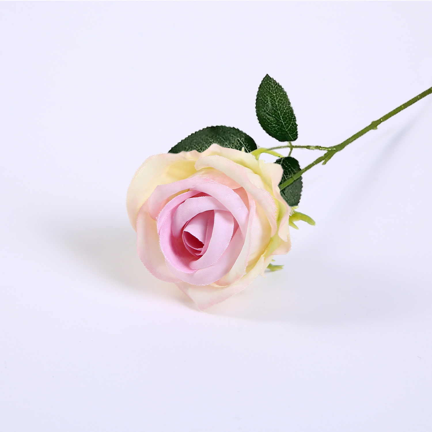 타로 퍼플 1호 + 잎이 있는 24cm 꽃줄기