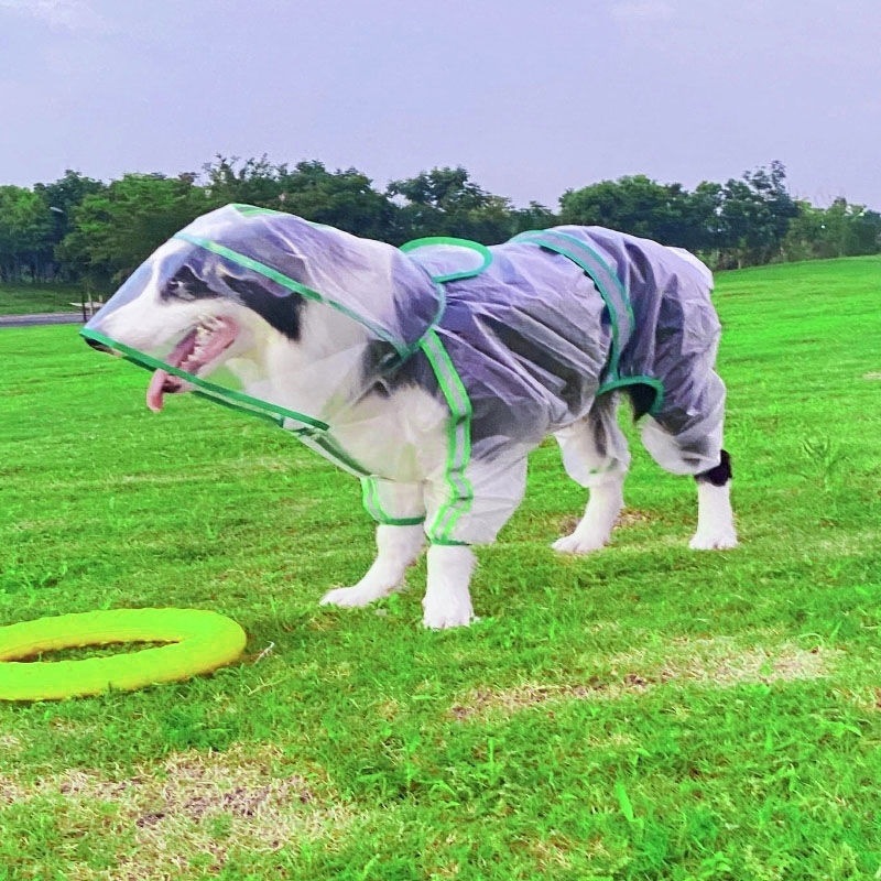 ac9339e4-b8f2-4107-bbd6-1f0a124e10d3.jpe