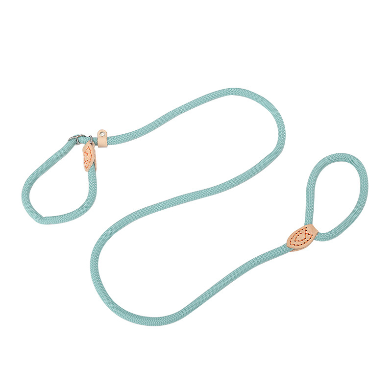 Correa de perro P cuerda correa de perro de una sola pieza anti-rotura perros medianos y grandes punzón a prueba de explosiones P cadena correa de perro Cadena de perro