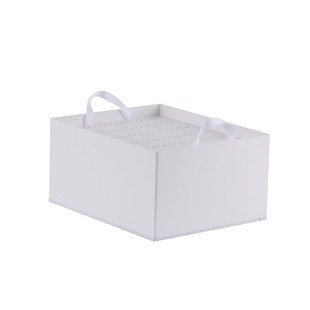 Plastic Frame High-Efficiency Filter Solder Laser Smoke Purifier Filter Element High Iodine Value Activated Carbon Filter