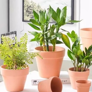 �t�ջ����ش�̖�մɼt�����������С����͸�������������¿�