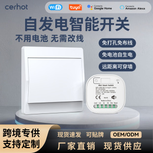 Graffiti Wifi Smart Battery-Free Self-Generating Switch Home Wireless Wall Light Switch Mobile Phone Remote Control