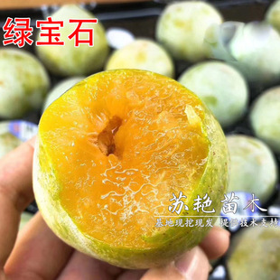 �����G��ʯ��������������G������޽����Ә����Ϸ������Nֲ����