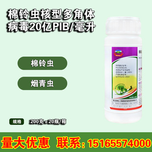 �����20�|PIB/��������x���Ͷ���w����С�˶�����x���x�����]