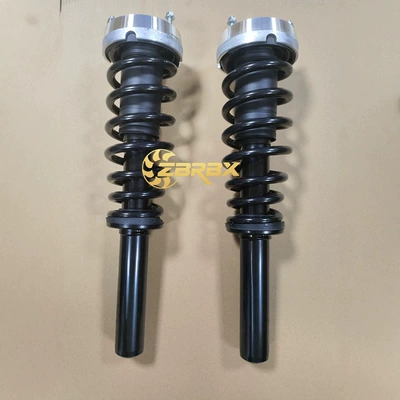damping system Front Shock Absorber Assembly