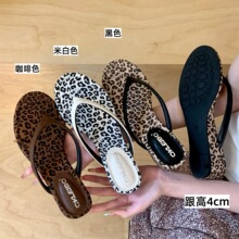 4CM~�¸����y�L�����Aֺ������ЬŮ���⴩�ȼ��L�r��ɳ�����ϛ�Ь