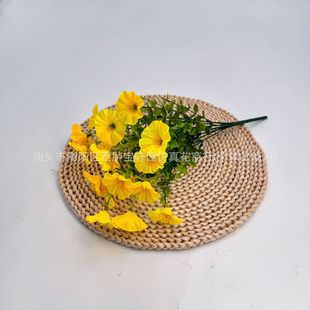 7��������栿ţ�����Ȼ� TEMU���R�d�N�˴��l���Ȼ�����Ҿ��b�