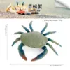 PL127-2225 Green Crab