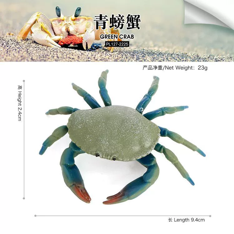Реалистичная морская животная модель, обучающая игрушка, морское дно