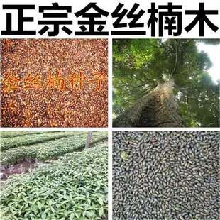 �Ĵ�С�~骼��~��z� �E� ��ľ�N�����ڽ�z�ľ��N�����F