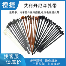 ��������ɭ�ۼ�����������܇���������������Ͼo�̼�늾���|����