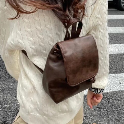 Small and Retro Brown Double Shoulder Bag for Women, 2024 Spring New Ins Simple and Versatile Crossbody Bag