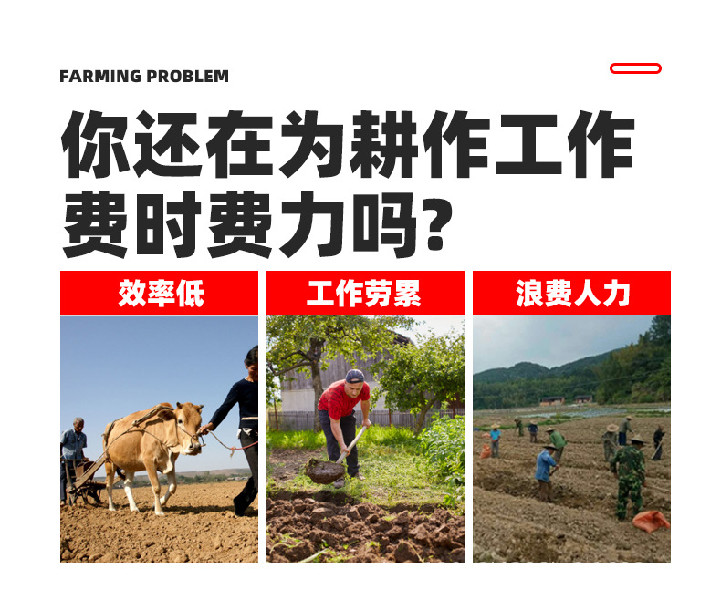 详情 (3) - 副本.jpg