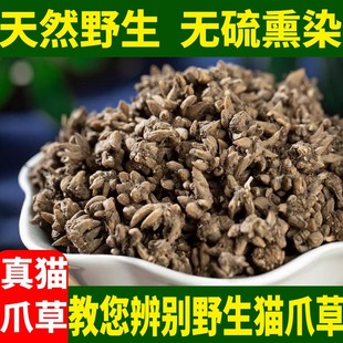 �ѹ�Ӣ�����Ұ����؈צ��؈צ��ɢ��ˮϴ�Ŀݲ�����